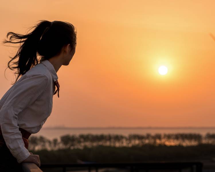 艺人背景图