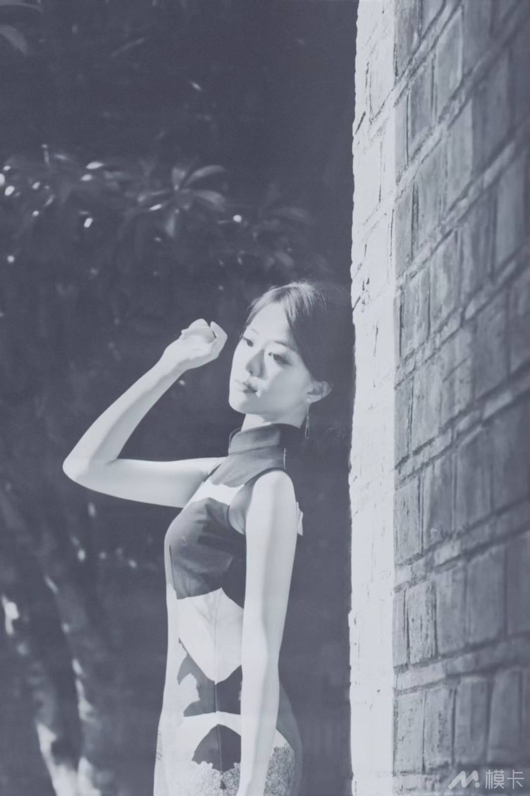 作品图片