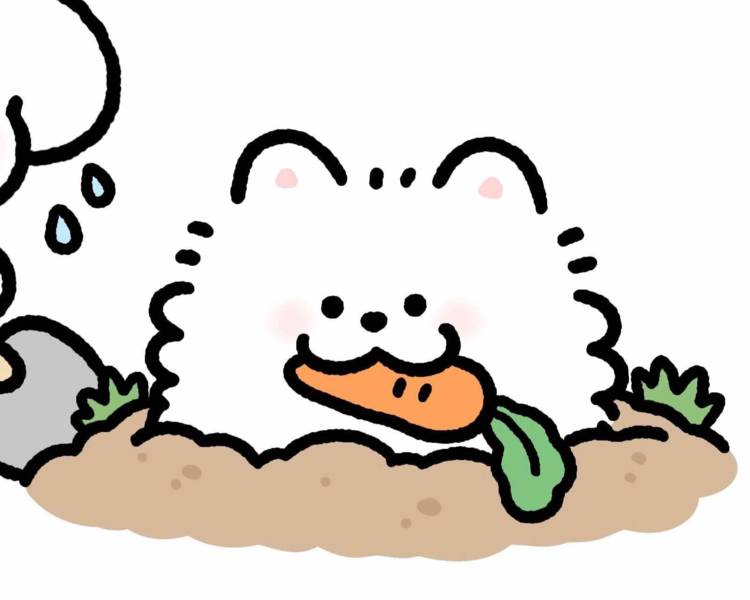 艺人背景图