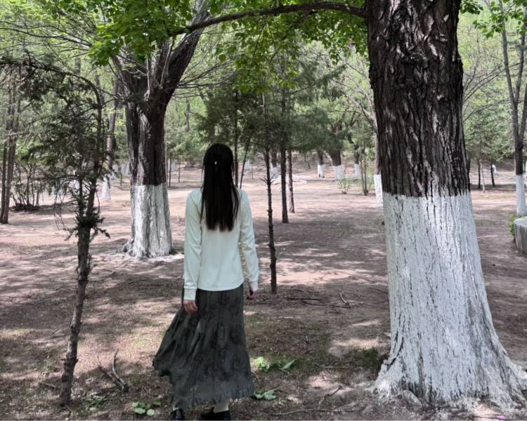 艺人背景图