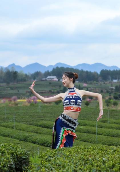 推荐艺人
