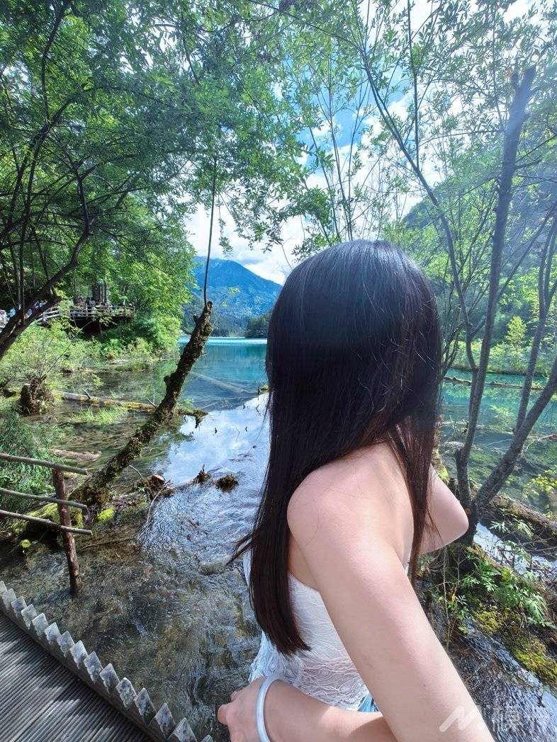 作品图片
