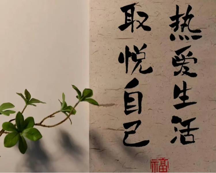 艺人背景图