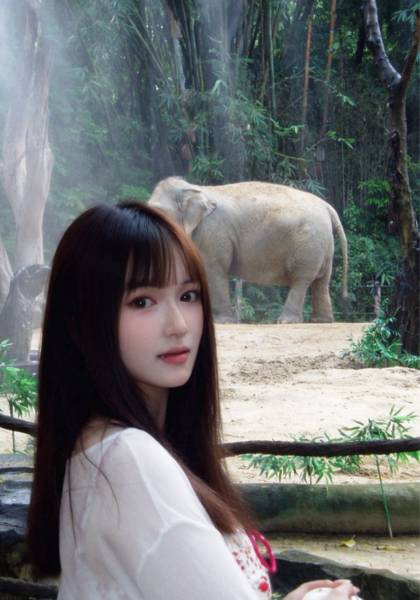 形象照片