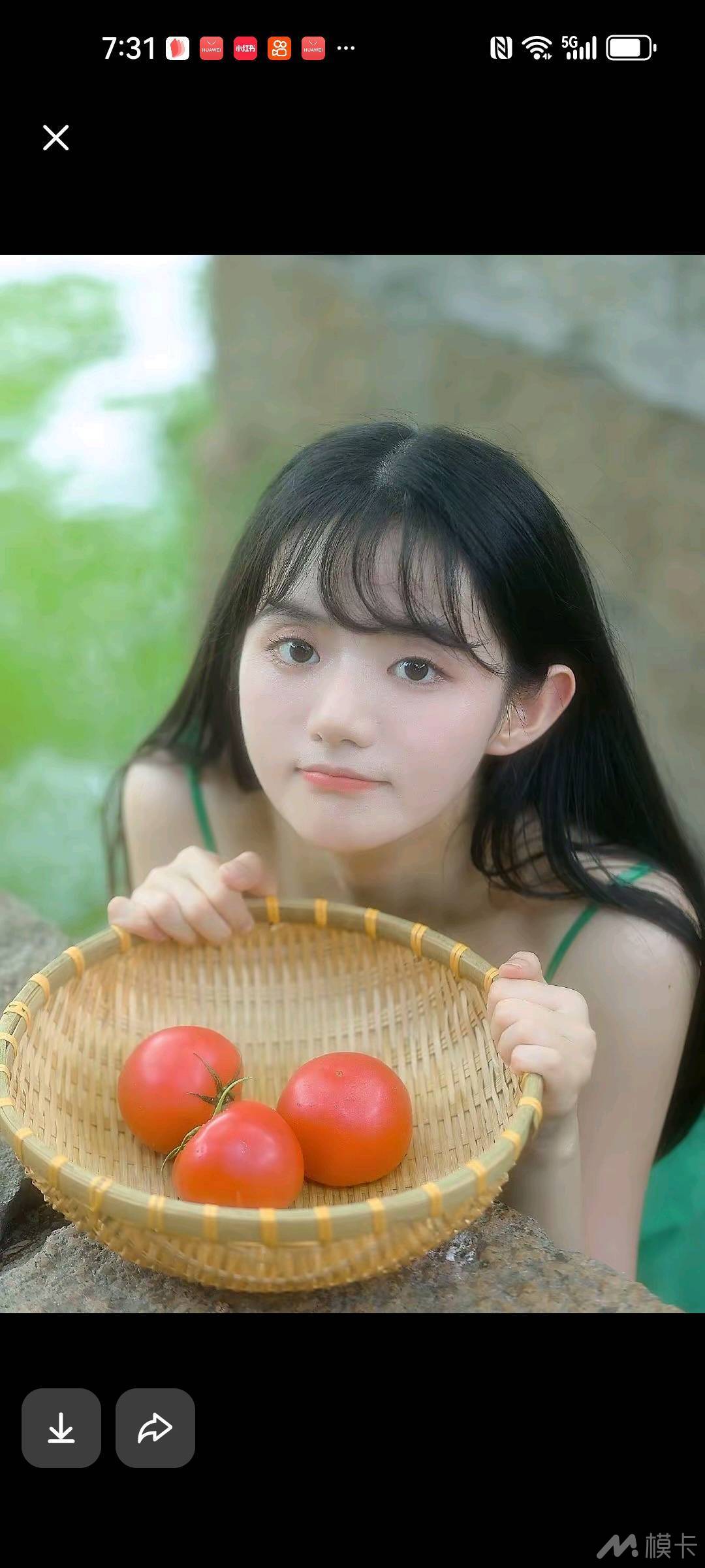 作品图片