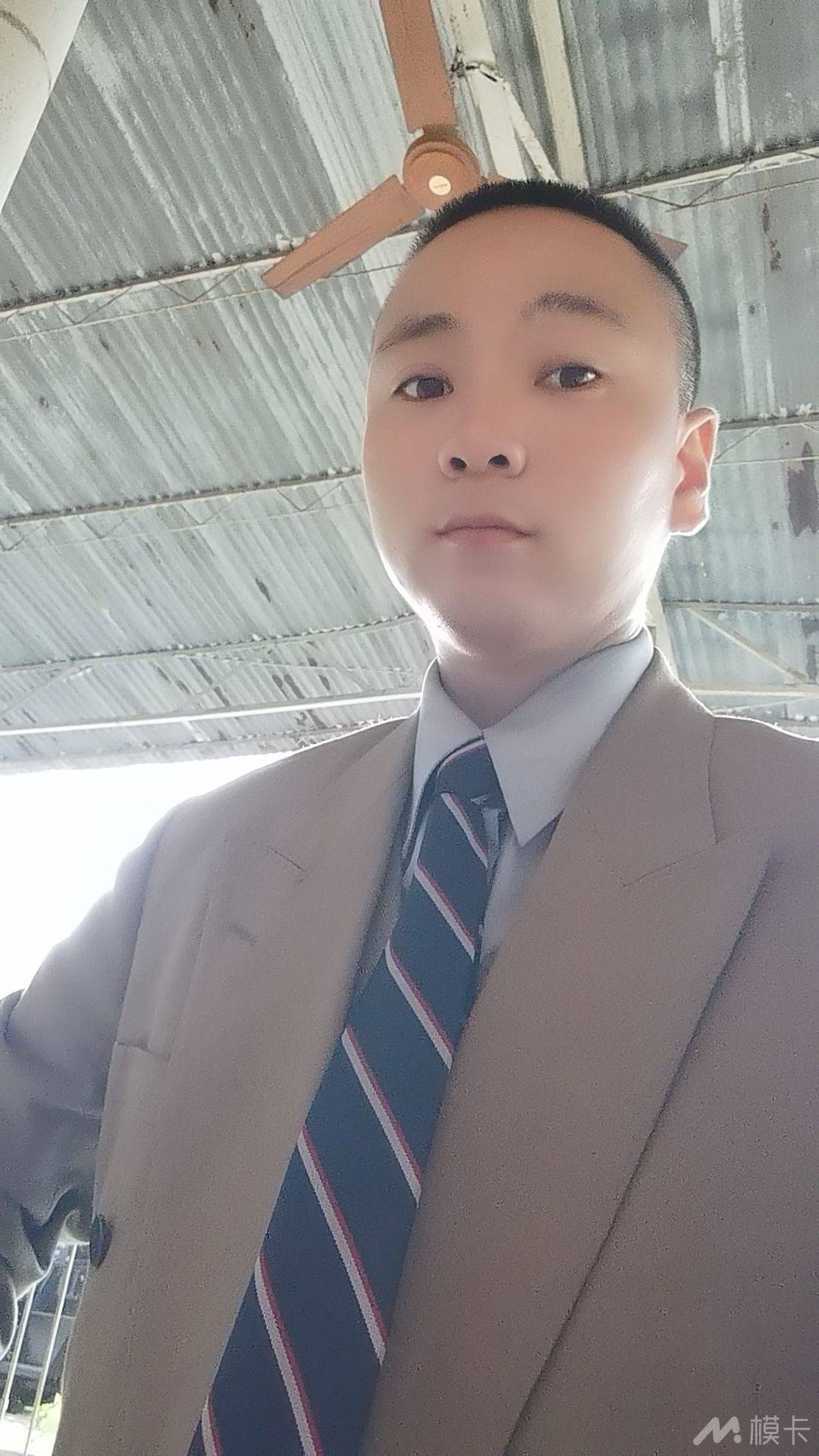作品图片