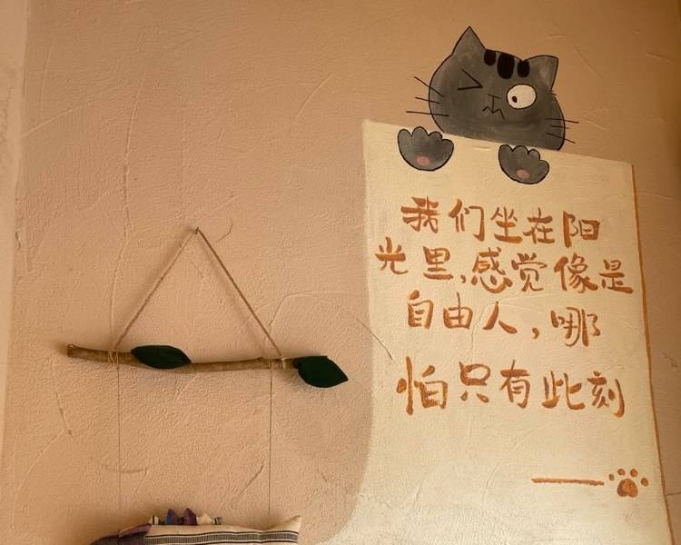 艺人背景图