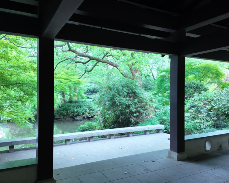 艺人背景图
