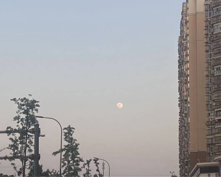 艺人背景图