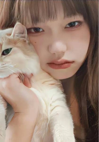 推荐艺人