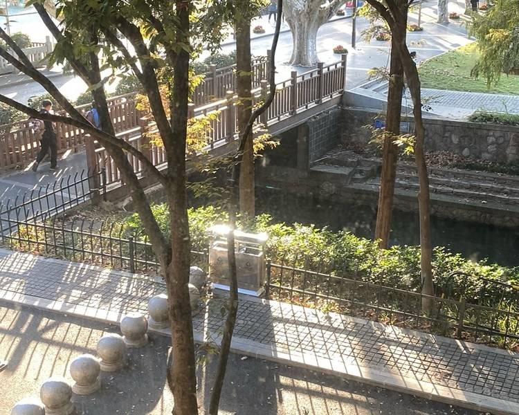 艺人背景图