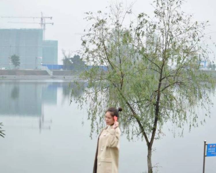 艺人背景图