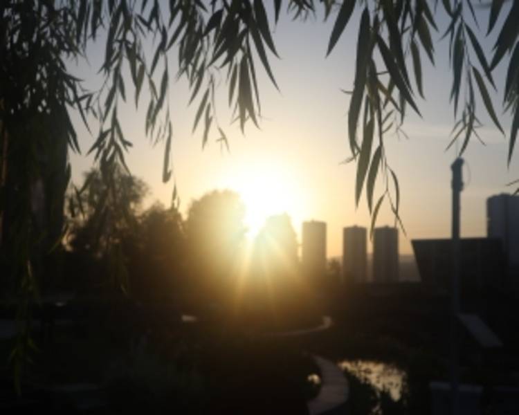 艺人背景图