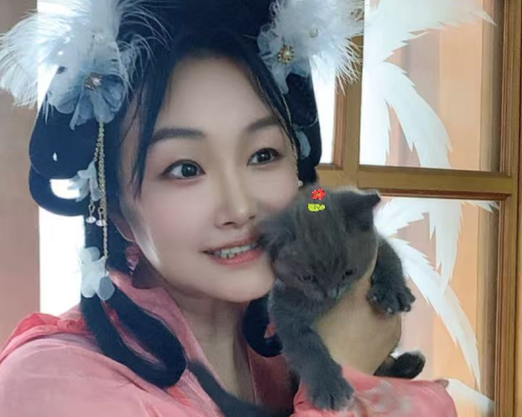 艺人背景图