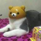 头像