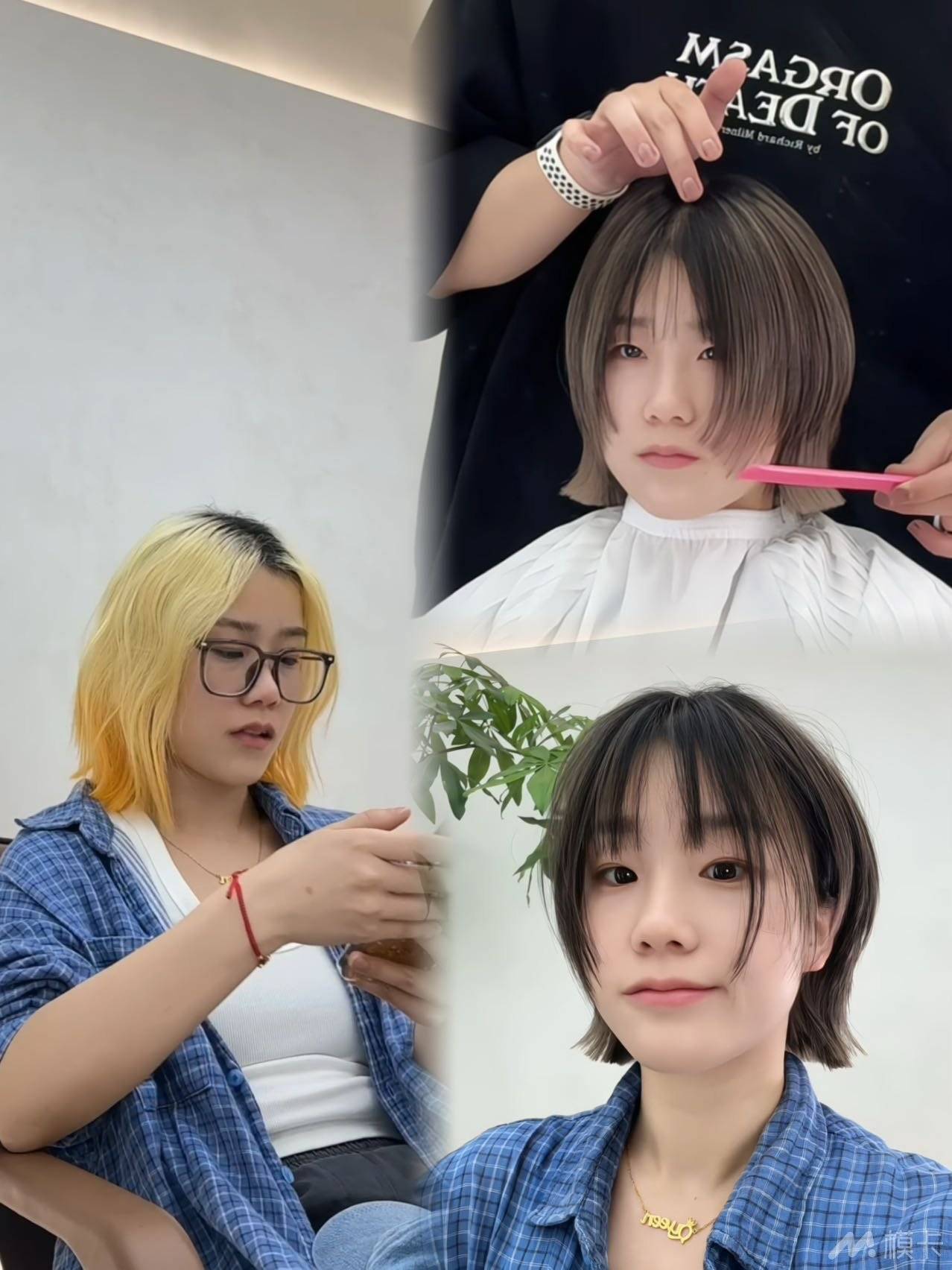通告图片