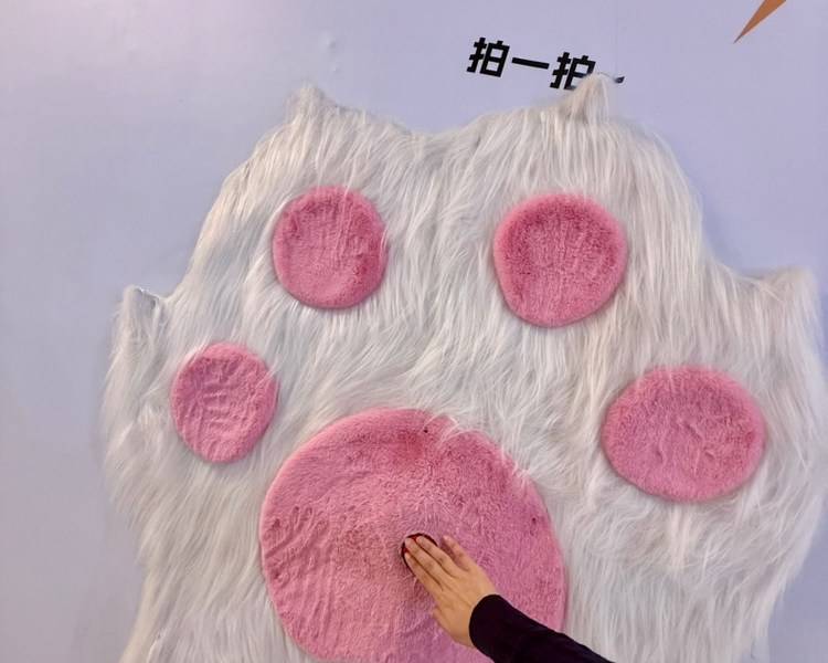 艺人背景图