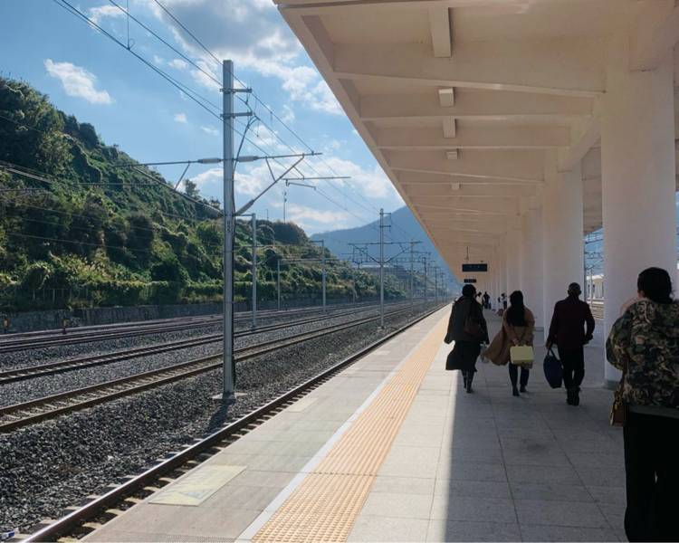 艺人背景图