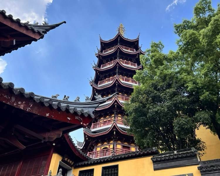 艺人背景图