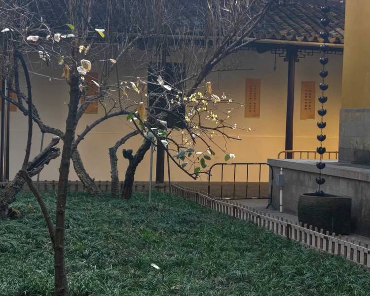 艺人背景图