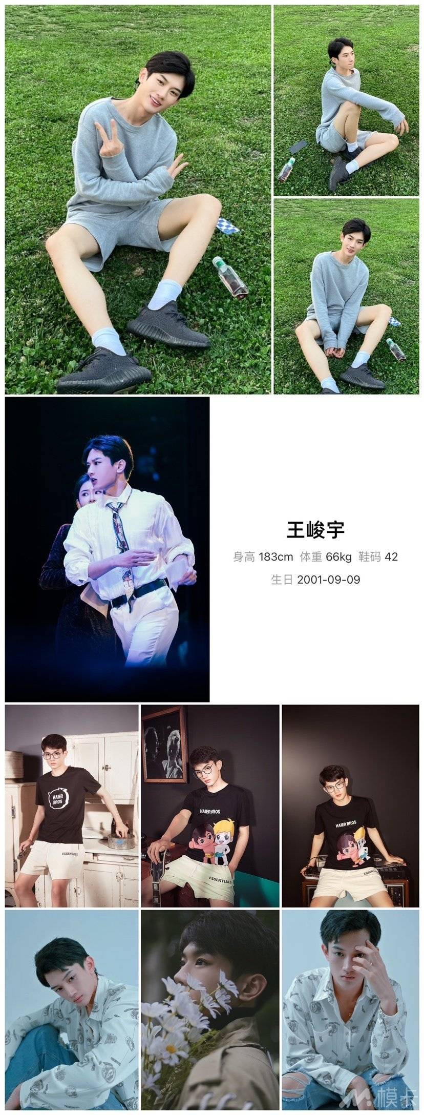 作品图片