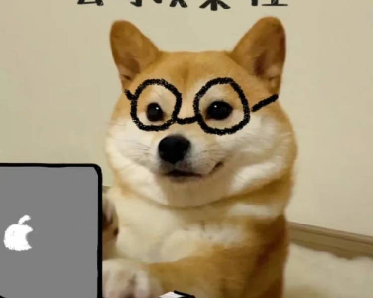 艺人背景图