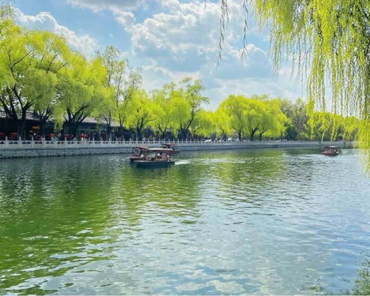 艺人背景图