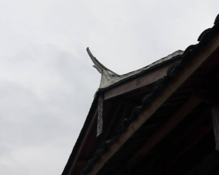艺人背景图