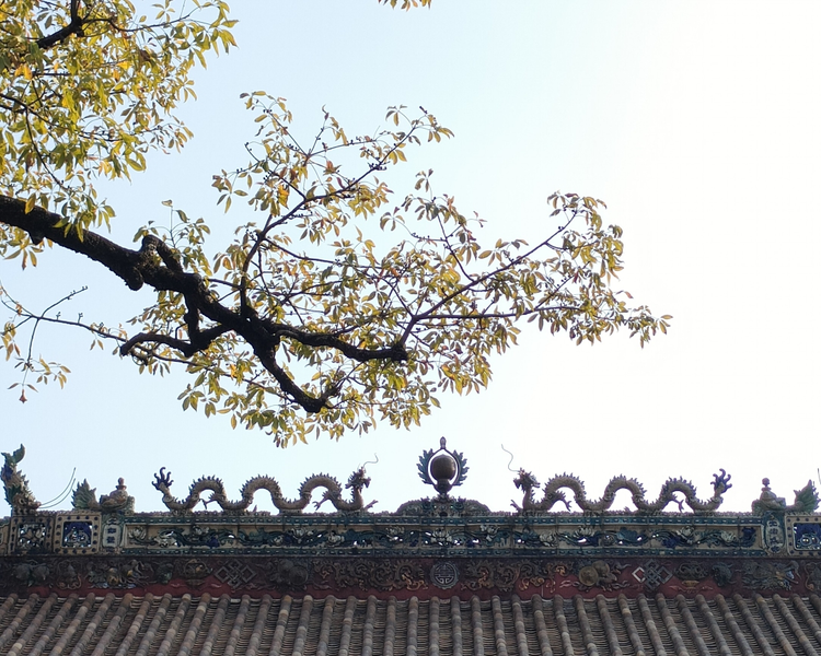艺人背景图