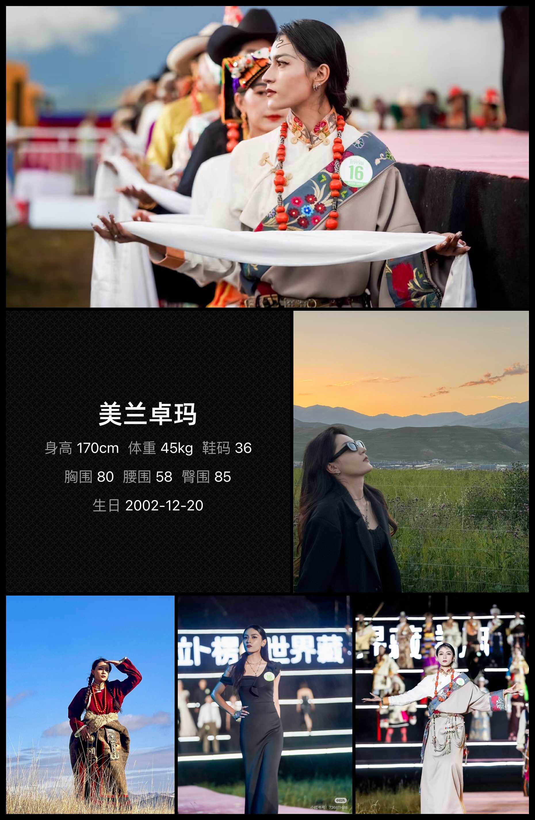 模卡
