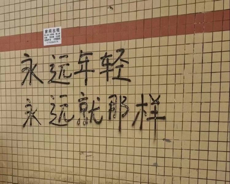艺人背景图