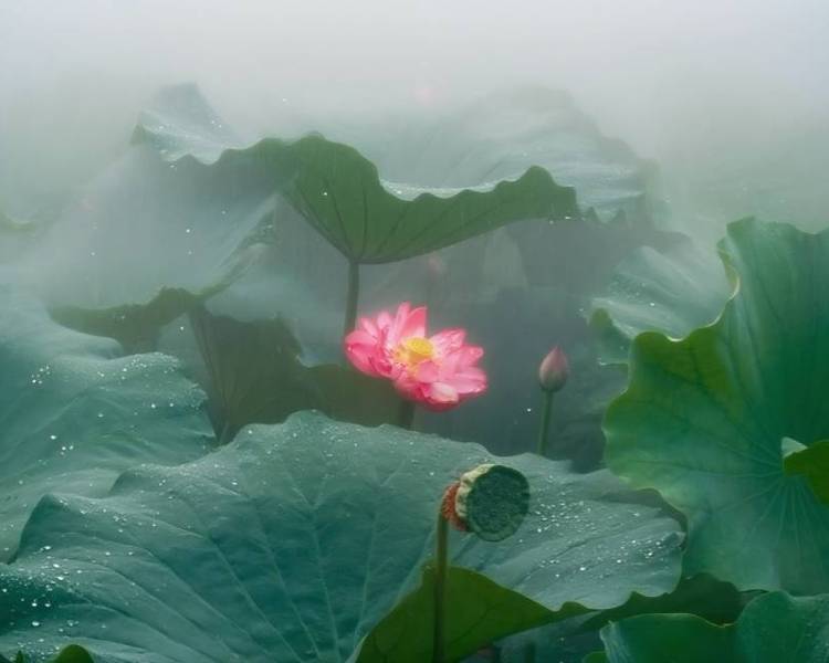 艺人背景图