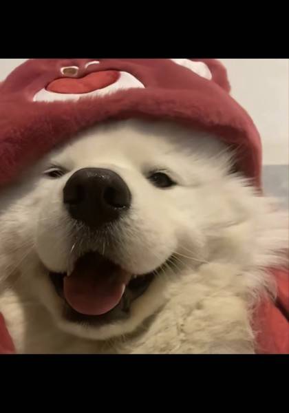 推荐艺人