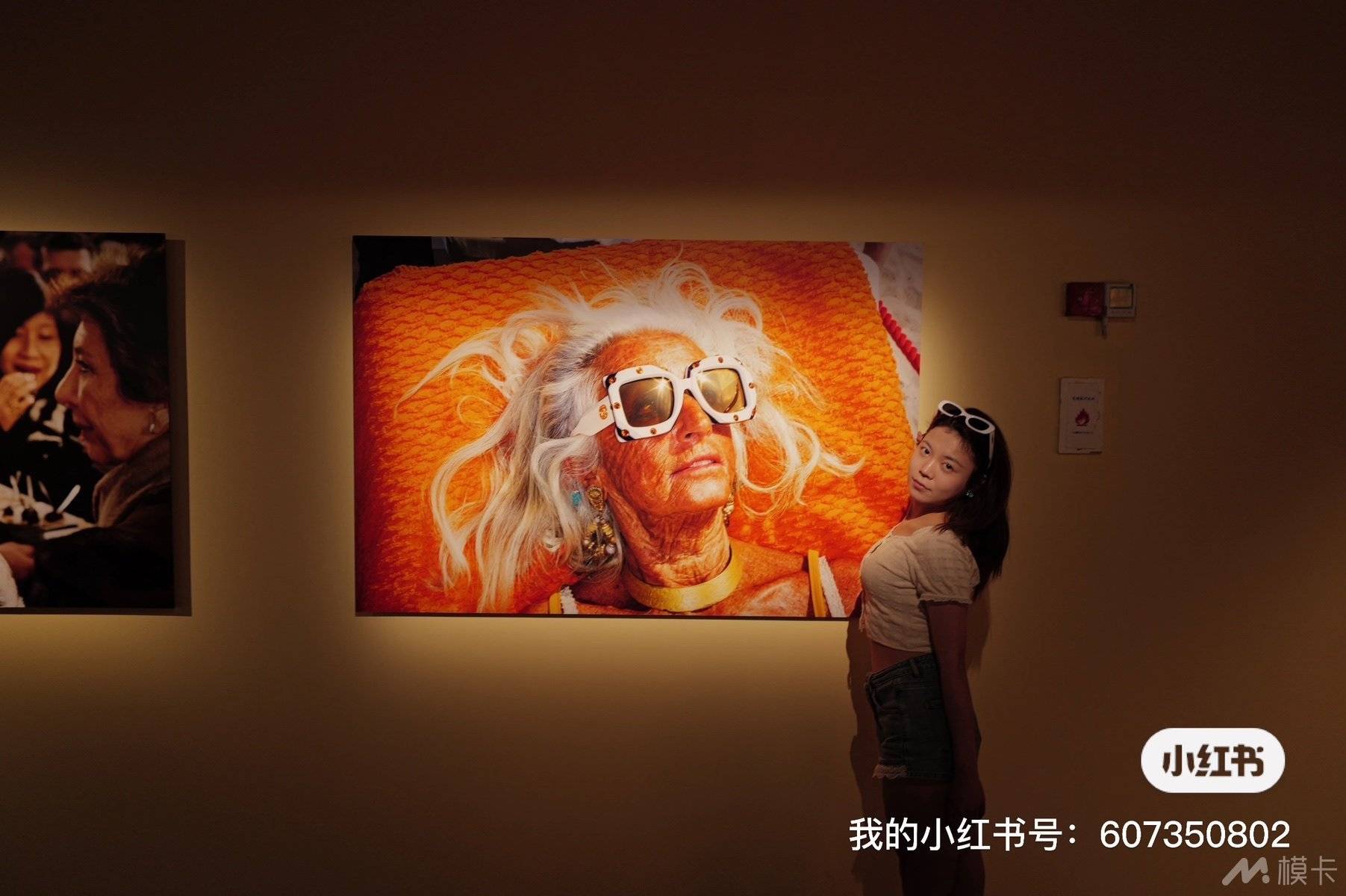 作品图片