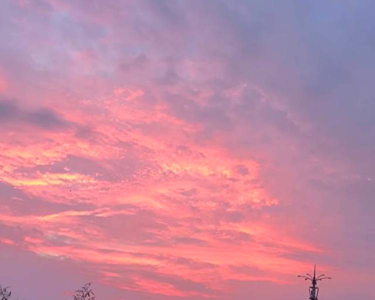 艺人背景图