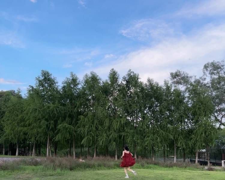 艺人背景图
