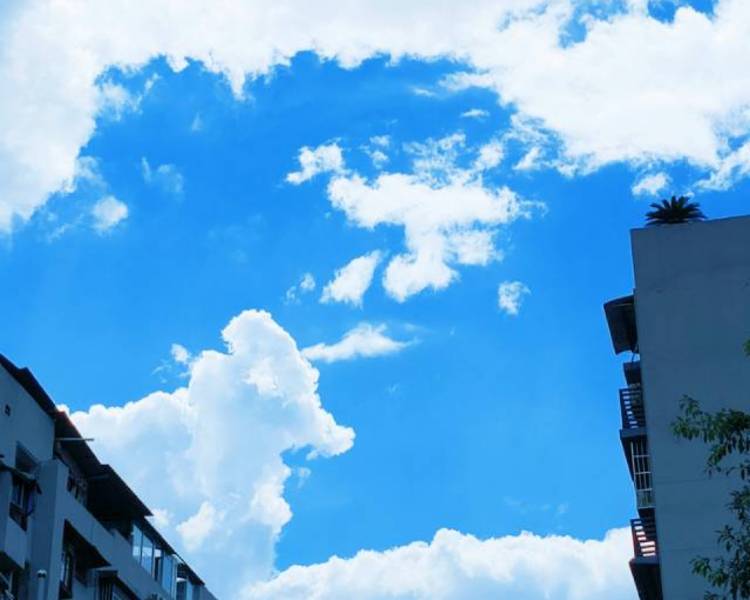 艺人背景图