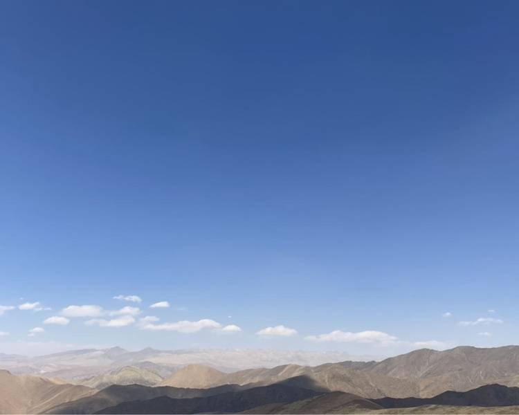 艺人背景图