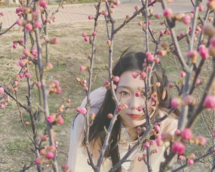 艺人背景图