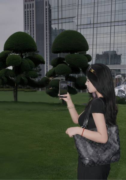 形象照片