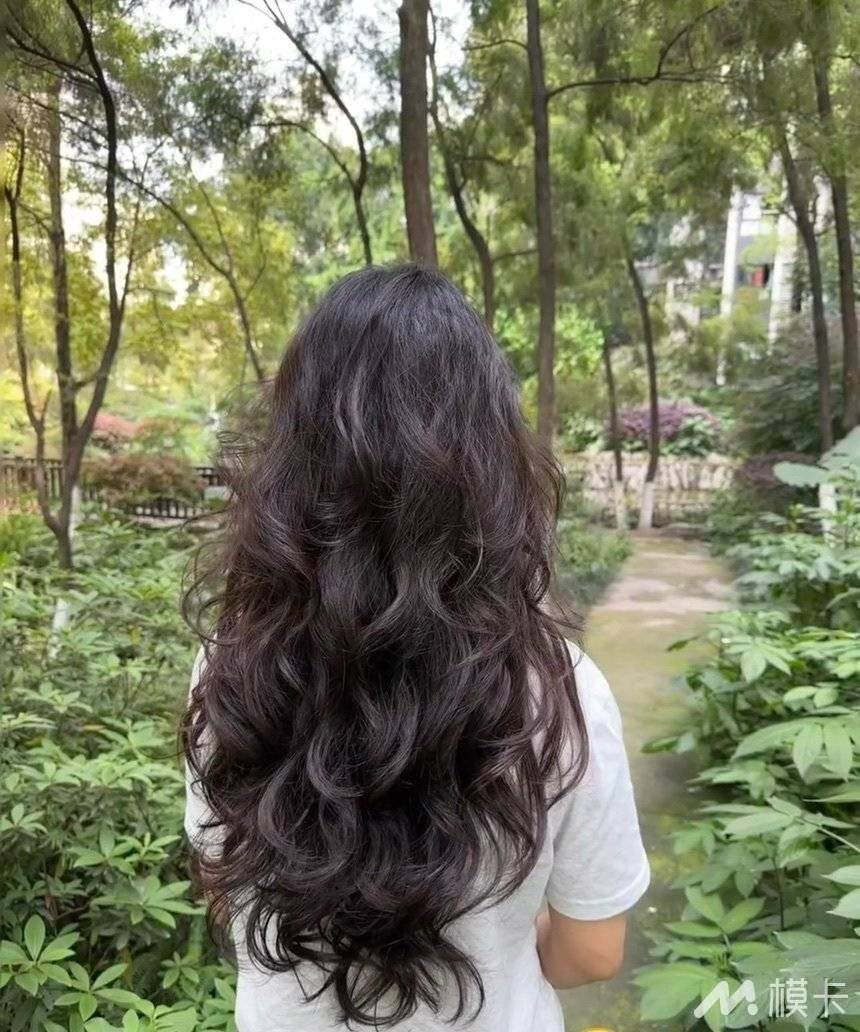 通告图片
