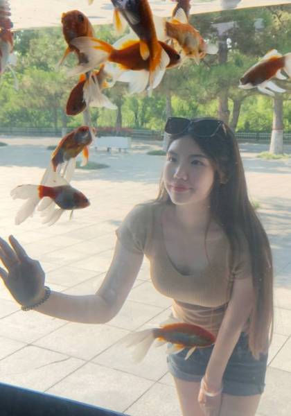 形象照片