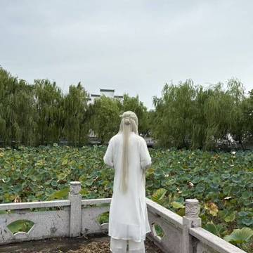 经历图片