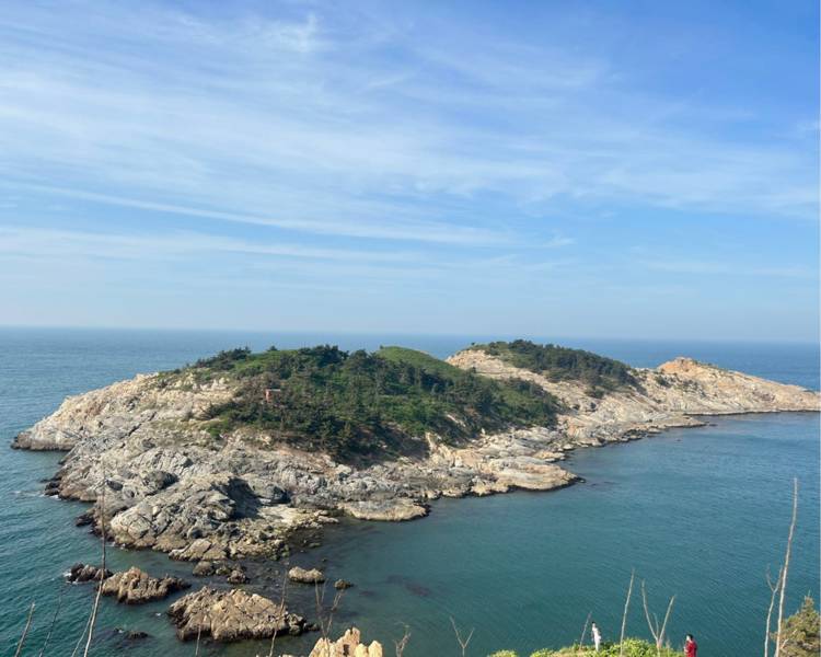 艺人背景图