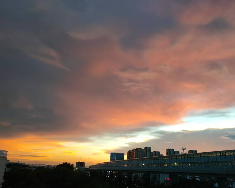 艺人背景图