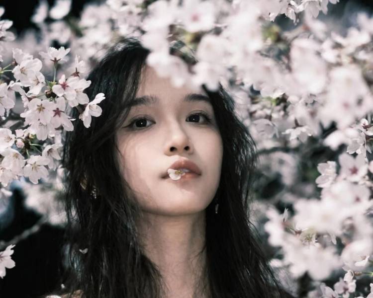 艺人背景图