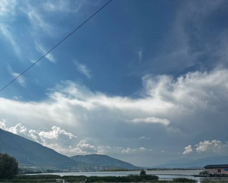 艺人背景图