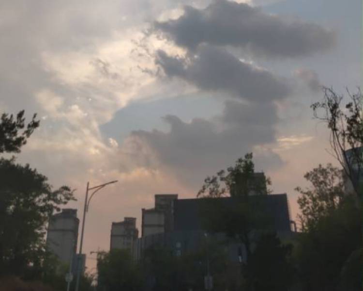 艺人背景图
