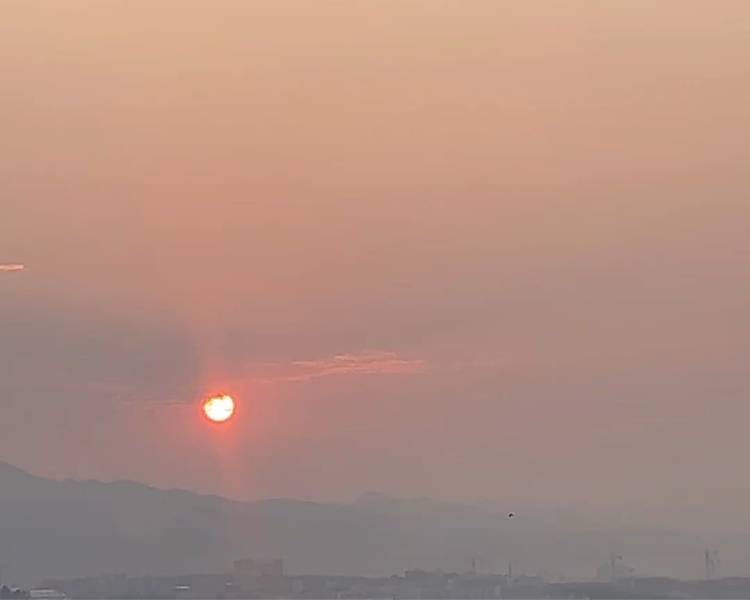 艺人背景图