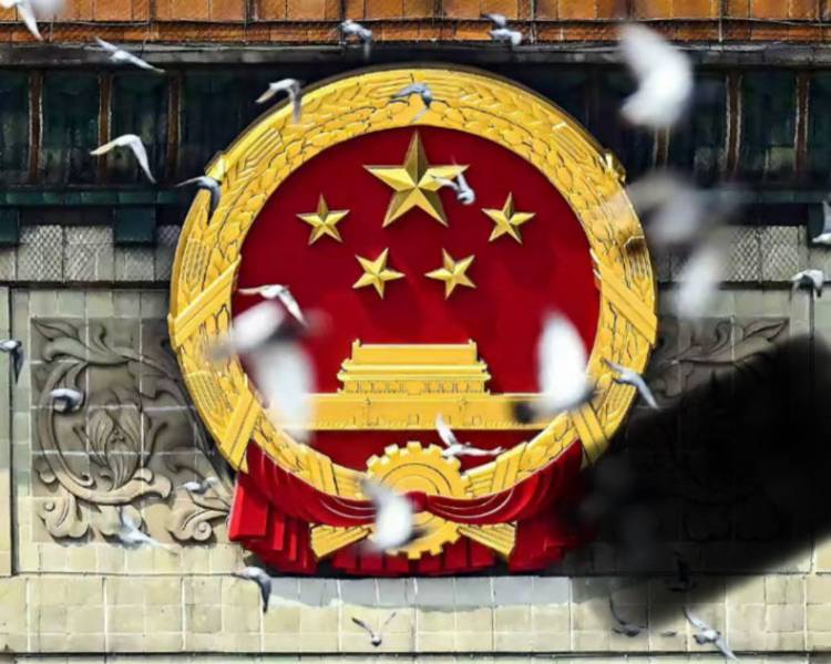 艺人背景图